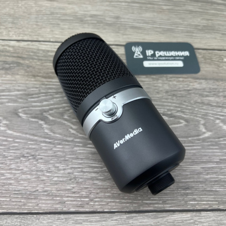 AVerMedia AM310, USB микрофон